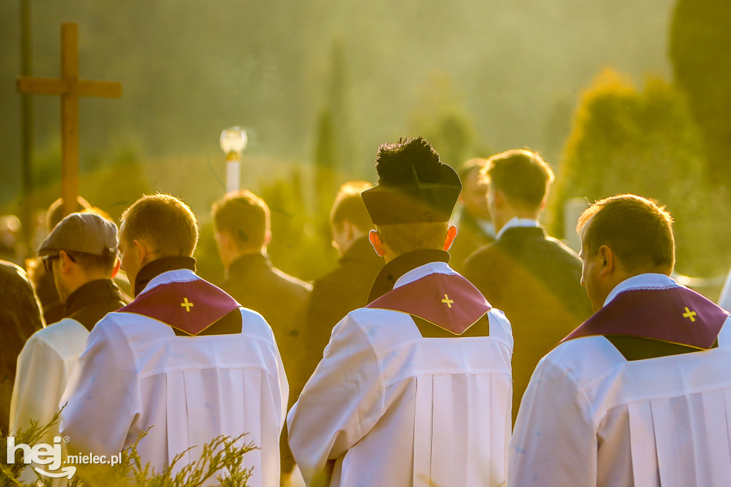 Wszystkich Świętych 2019: Cmentarz Komunalny