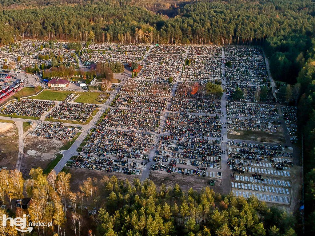 Wszystkich Świętych 2019: Cmentarz Komunalny