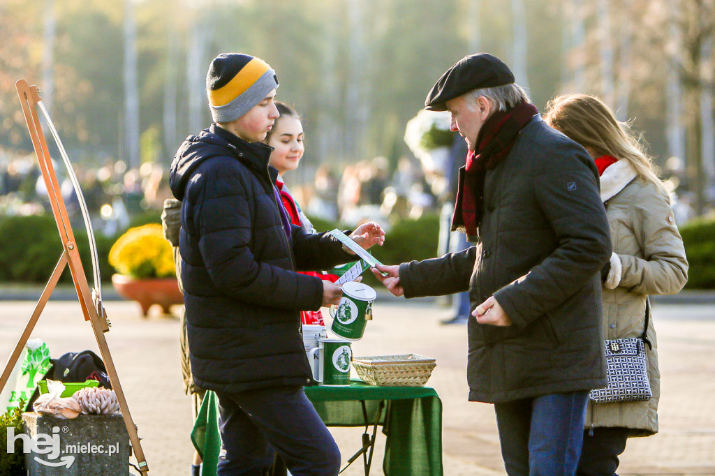 Wszystkich Świętych 2019: Cmentarz Komunalny