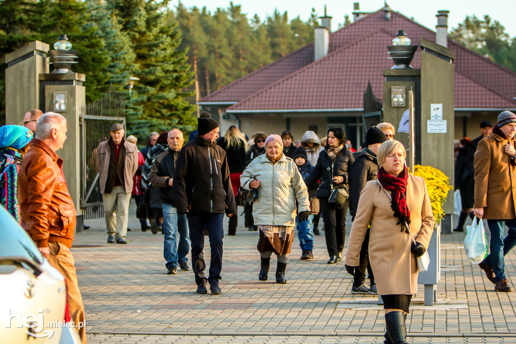 Wszystkich Świętych 2019: Cmentarz Komunalny