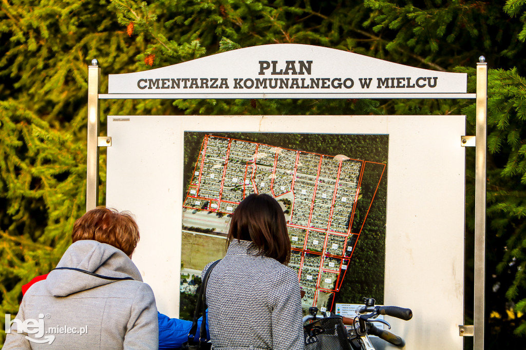 Wszystkich Świętych 2019: Cmentarz Komunalny