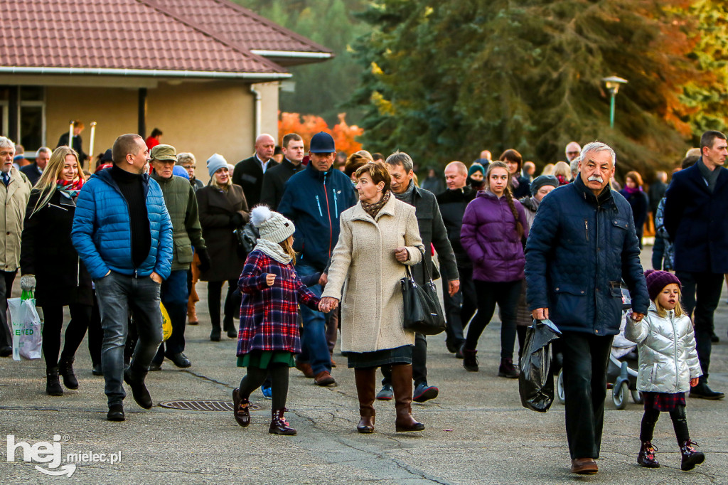 Wszystkich Świętych 2019: Cmentarz Komunalny