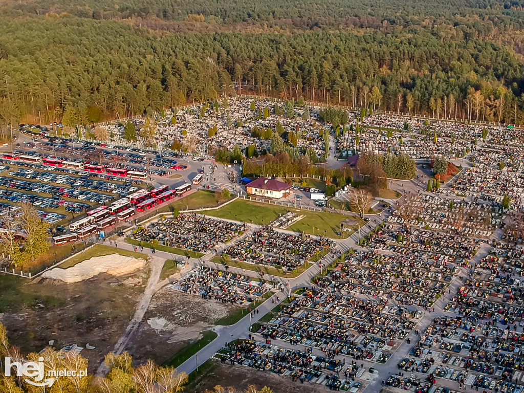 Wszystkich Świętych 2019: Cmentarz Komunalny