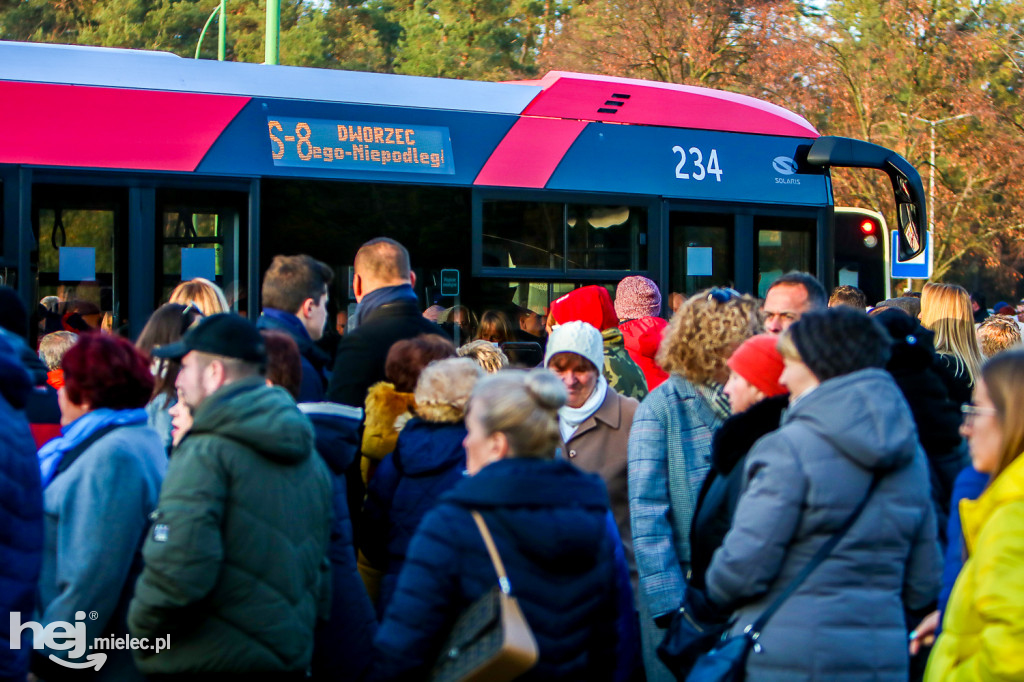 Wszystkich Świętych 2019: Cmentarz Komunalny