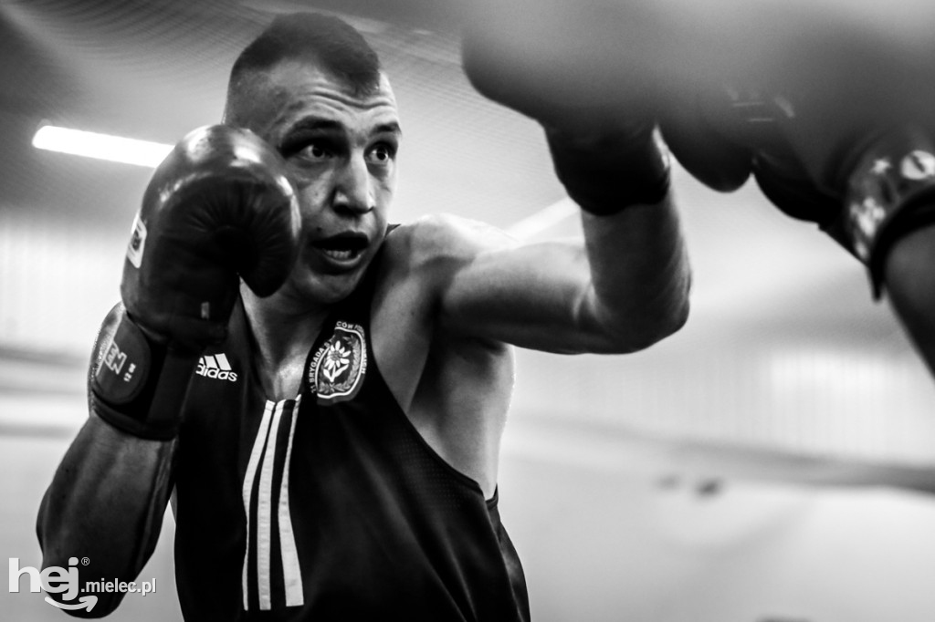 Gala Boksu Olimpijskiego w Mielcu