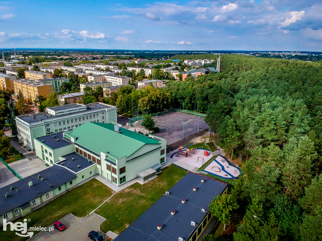 Tysiąc drzew zniknie z tego miejskiego parku