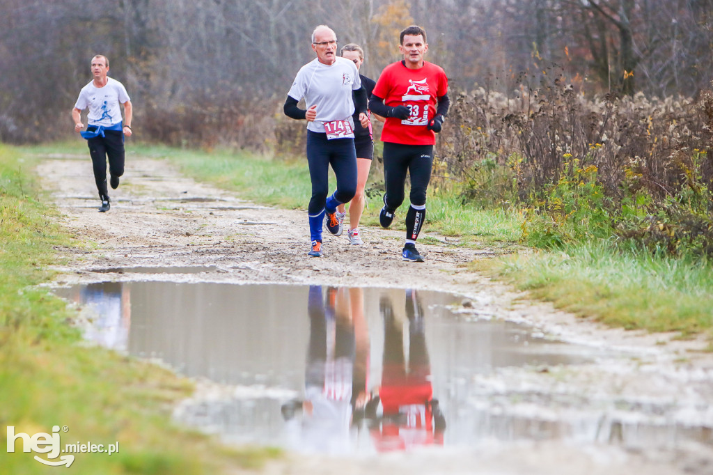 2. Bieg Niepodległości na Bulwarach