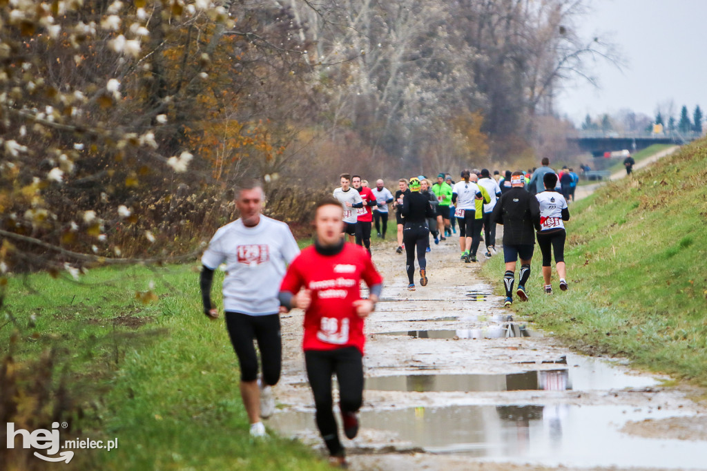 2. Bieg Niepodległości na Bulwarach