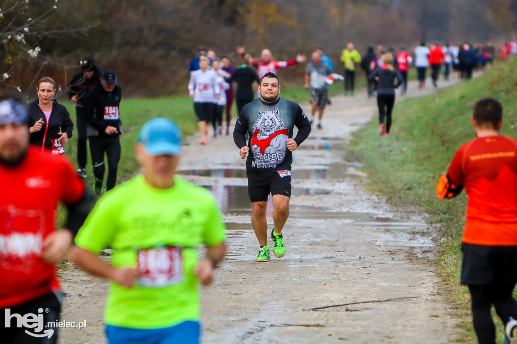2. Bieg Niepodległości na Bulwarach