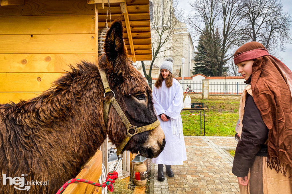 Żłóbki w mieleckich parafiach. Boże Narodzenie 2019