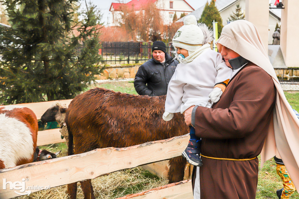 Orszak Trzech Króli w Gawłuszowicach