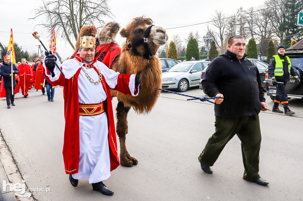 Orszak Trzech Króli w Gawłuszowicach