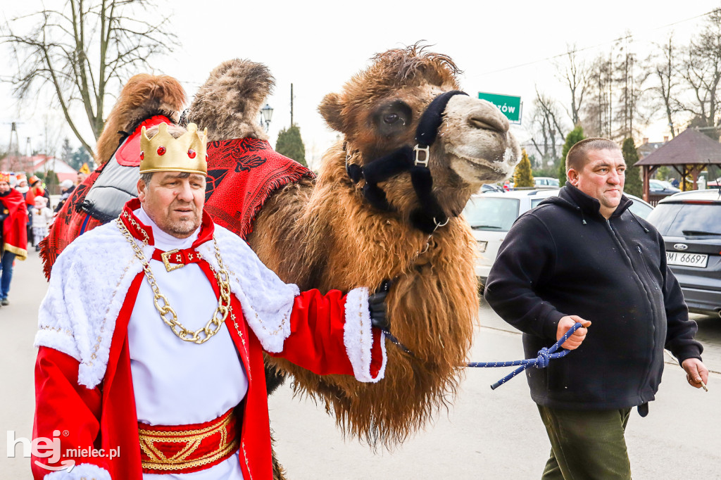 Orszak Trzech Króli w Gawłuszowicach