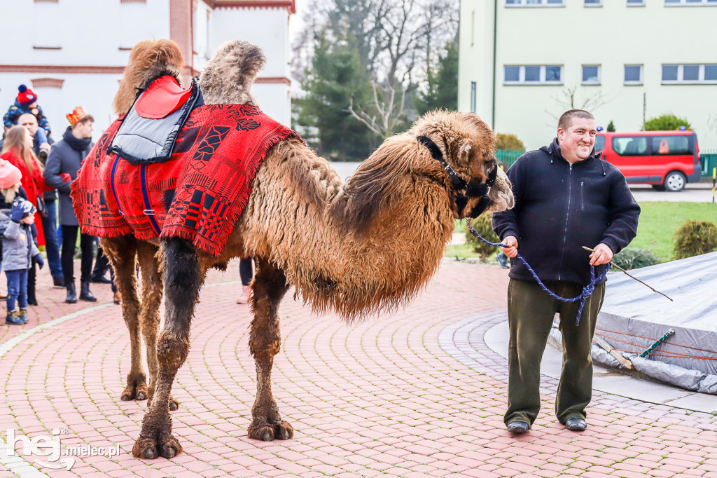 Orszak Trzech Króli w Gawłuszowicach