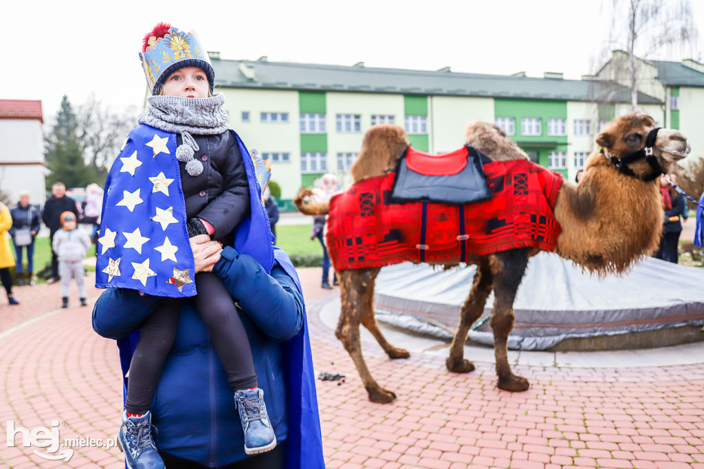Orszak Trzech Króli w Gawłuszowicach