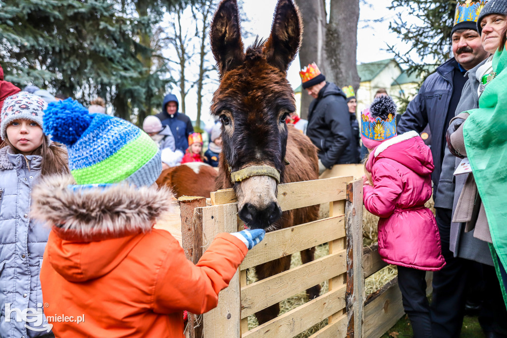 Orszak Trzech Króli w Gawłuszowicach