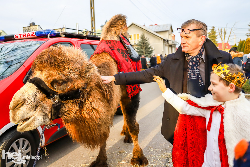 Orszak Trzech Króli w Gawłuszowicach
