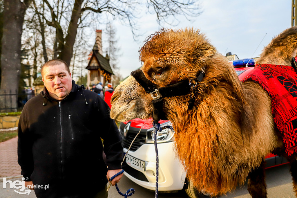 Orszak Trzech Króli w Gawłuszowicach