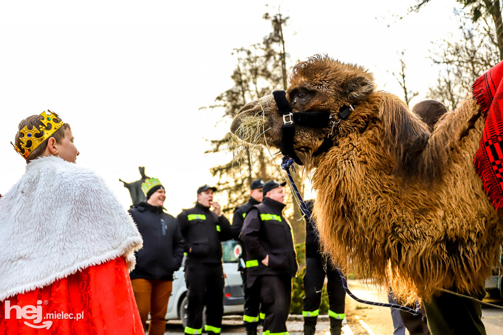 Orszak Trzech Króli w Gawłuszowicach