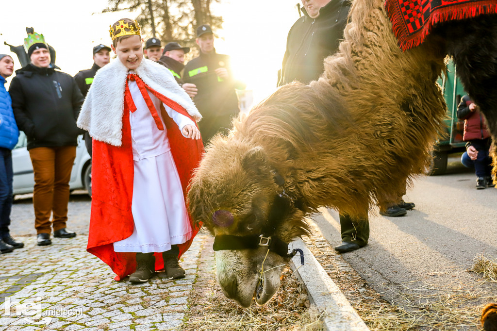 Orszak Trzech Króli w Gawłuszowicach