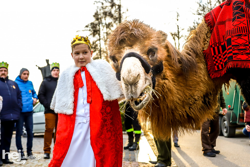Orszak Trzech Króli w Gawłuszowicach