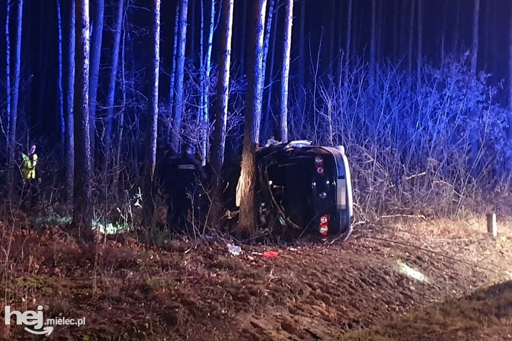 Wypadek na drodze Mielec - Przyłęk