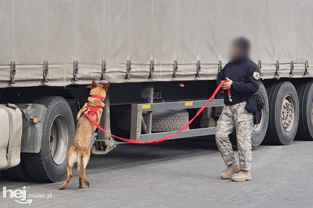 Policja sprawdzała ciężarówkę. Bomby nie było