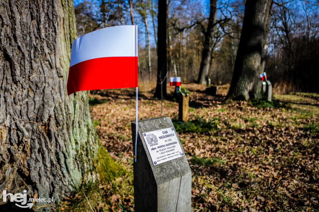 Nadanie imion Dębom Niezłomnym 2020