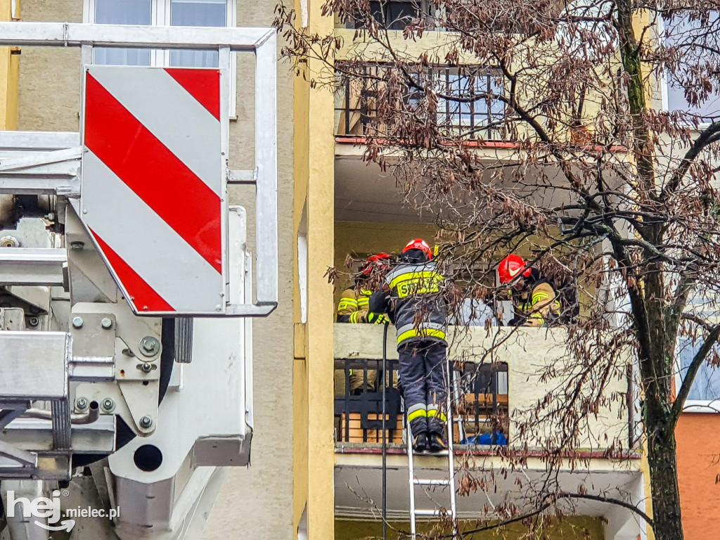 Pożar w bloku przy Warneńczyka