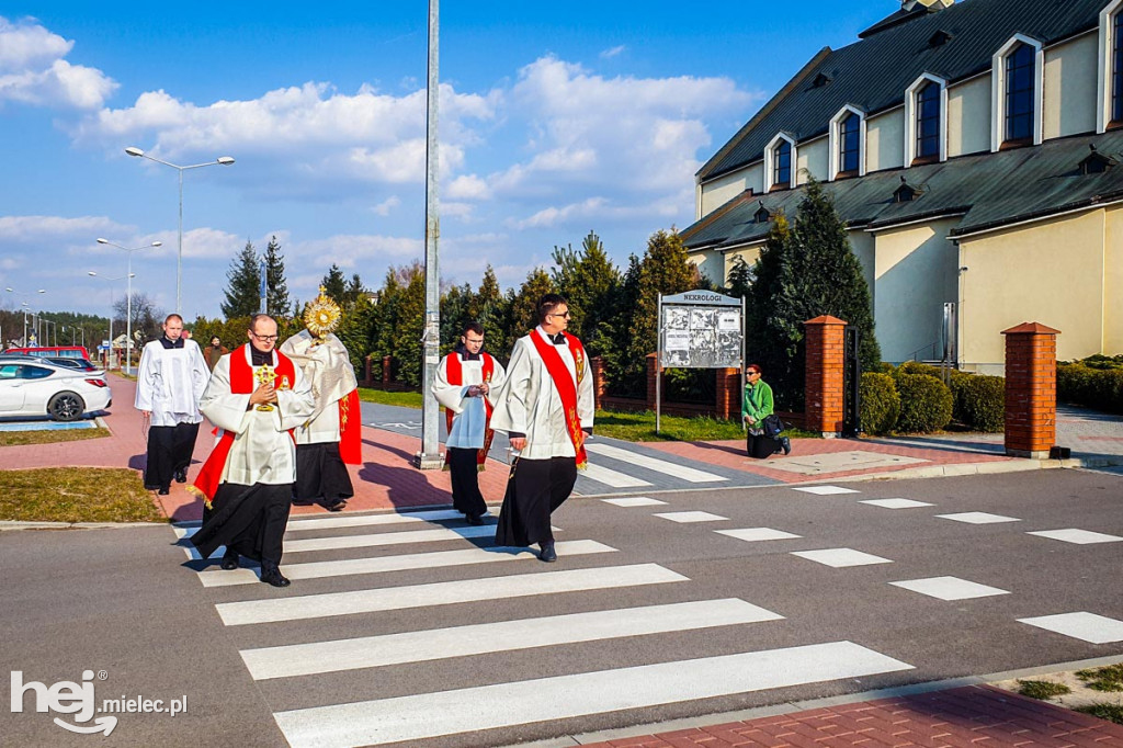 Koronawirus: procesja eucharystyczna na Smoczce