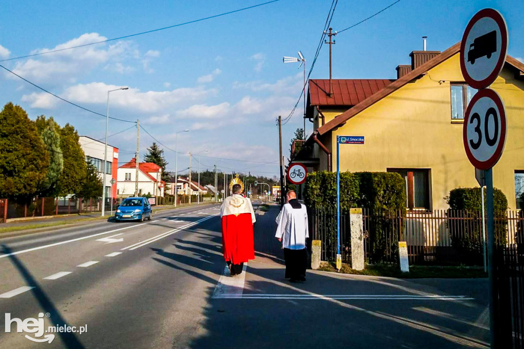 Koronawirus: procesja eucharystyczna na Smoczce