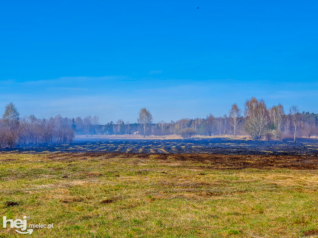 Pożar torfowisk w Rzemieniu