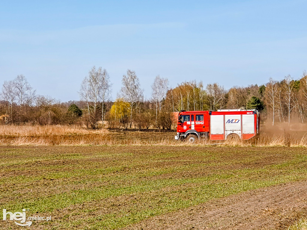 Pożar torfowisk w Rzemieniu