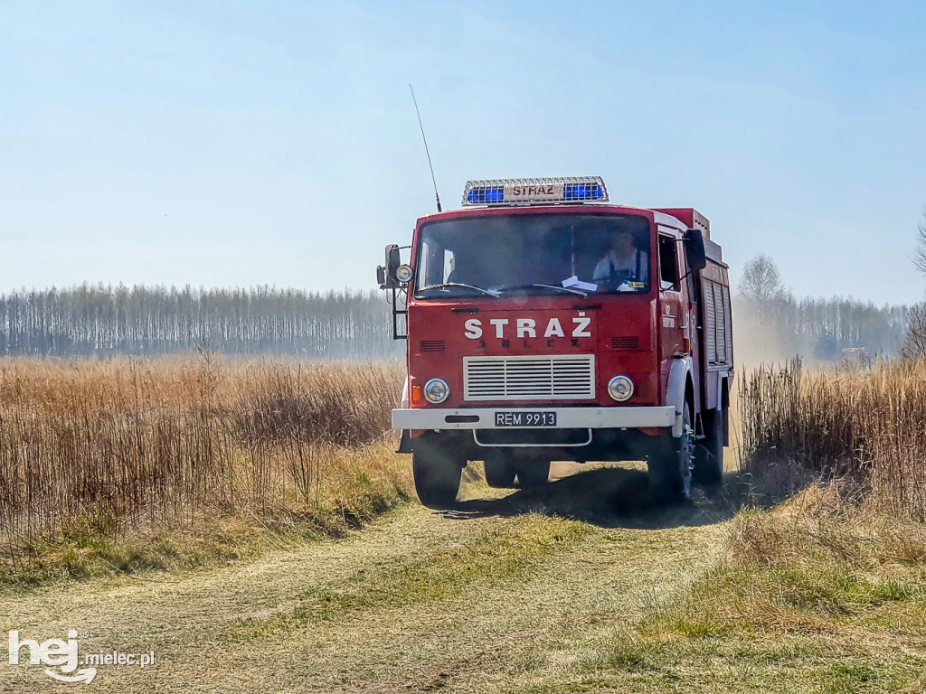 Pożar torfowisk w Rzemieniu