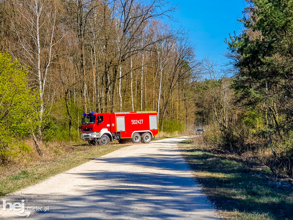 Pożar torfowisk w Rzemieniu