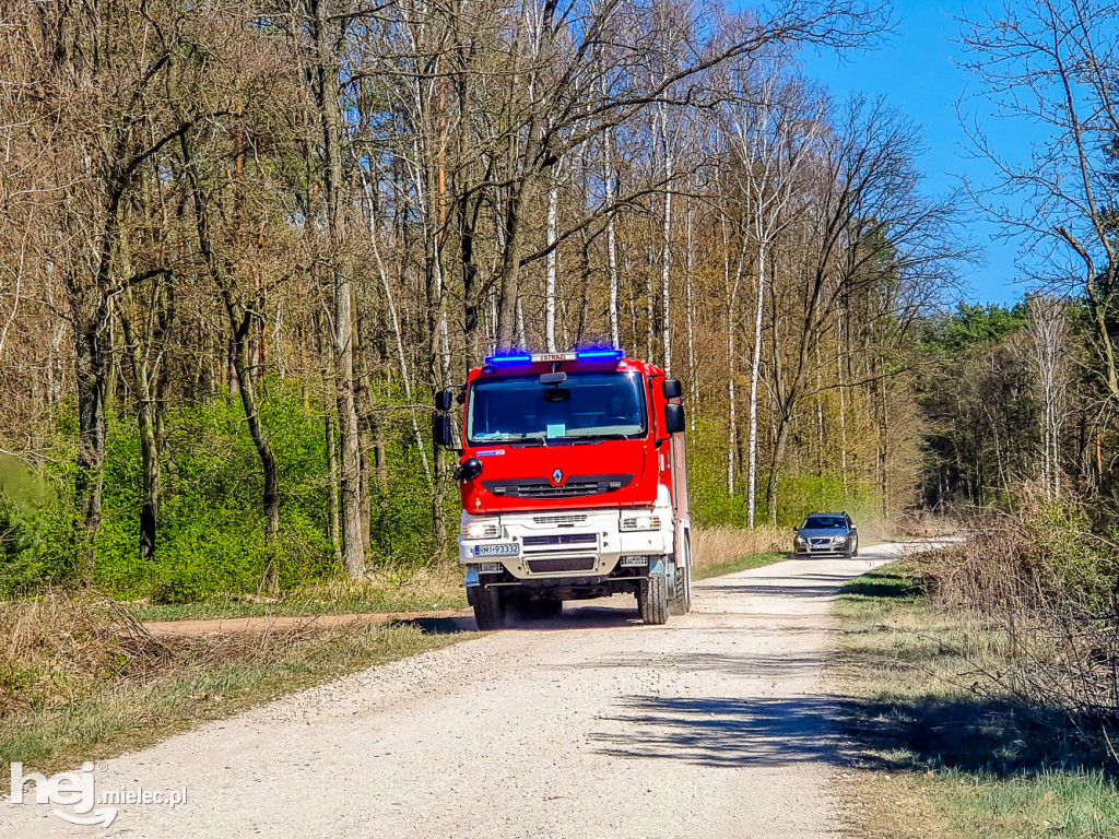 Pożar torfowisk w Rzemieniu