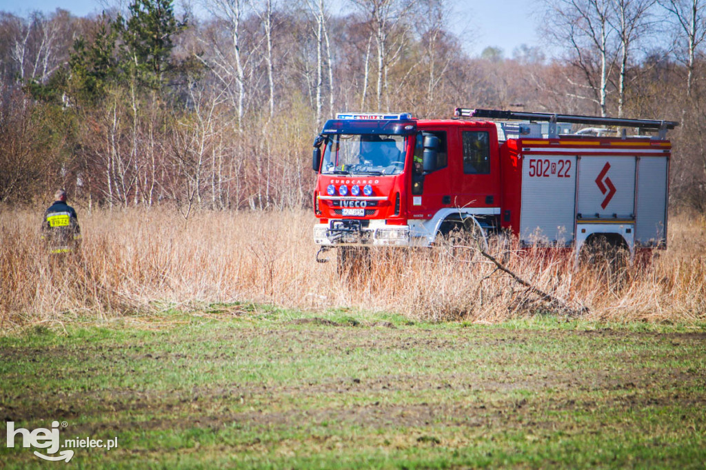 Pożar torfowisk w Rzemieniu