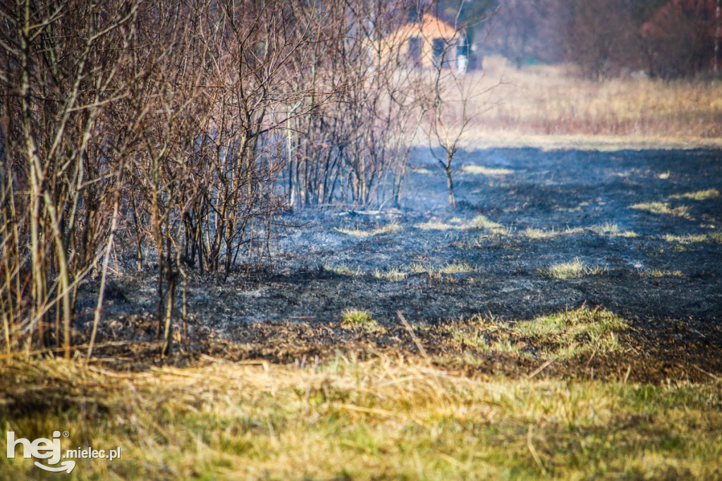 Pożar torfowisk w Rzemieniu