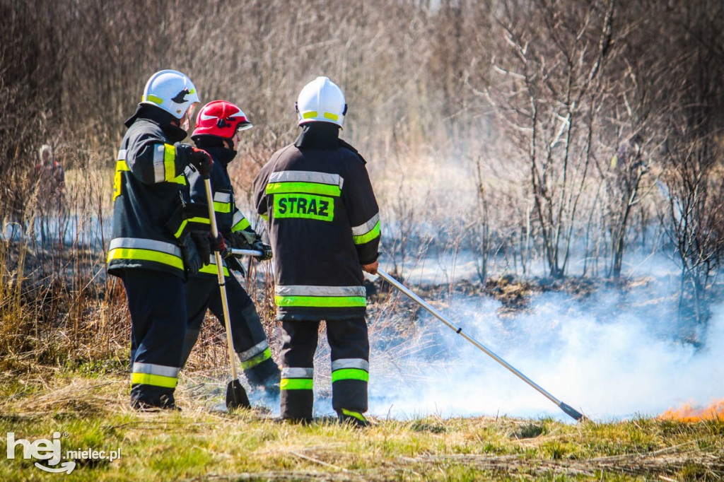 Pożar torfowisk w Rzemieniu