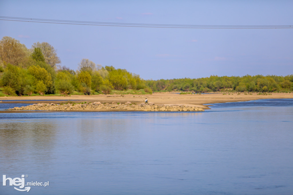 Niski poziom Wisły w powiecie mieleckim - kwiecień 2020