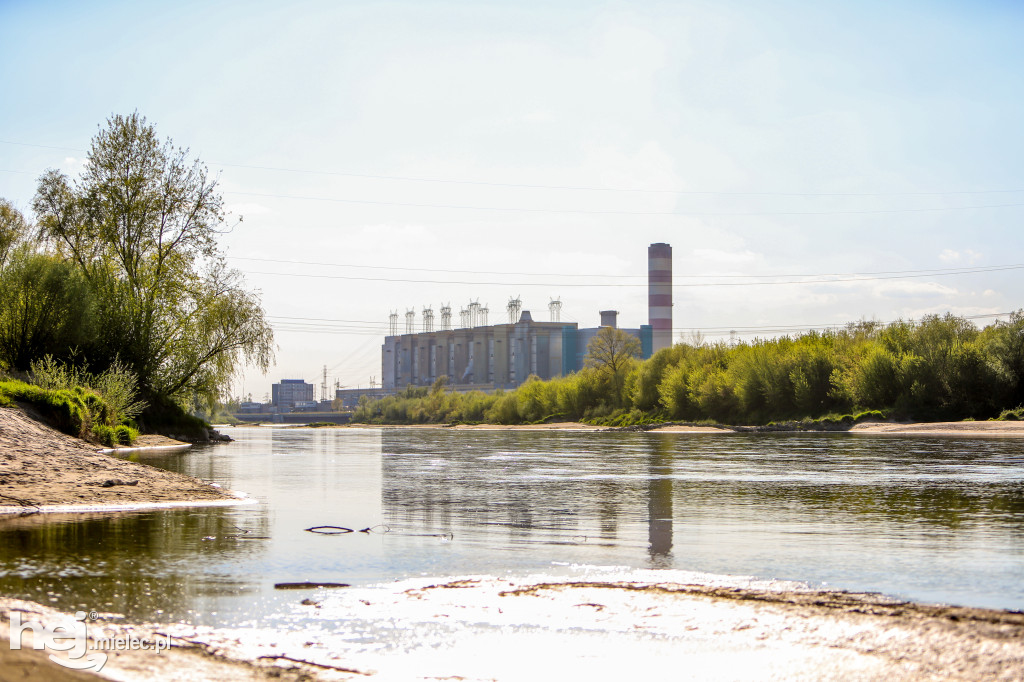 Niski poziom Wisły w powiecie mieleckim - kwiecień 2020