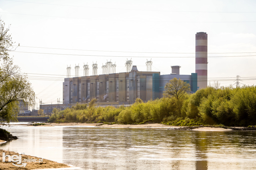 Niski poziom Wisły w powiecie mieleckim - kwiecień 2020