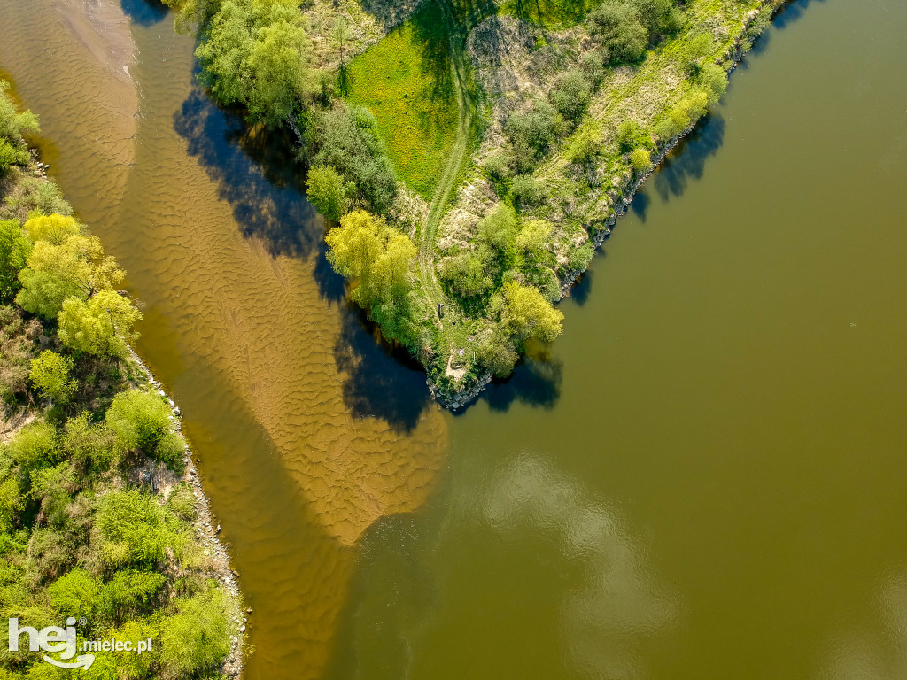 Niski poziom Wisły w powiecie mieleckim - kwiecień 2020