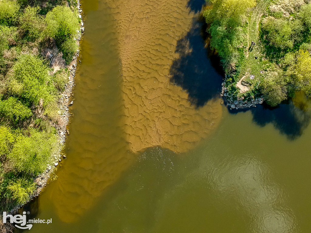 Niski poziom Wisły w powiecie mieleckim - kwiecień 2020