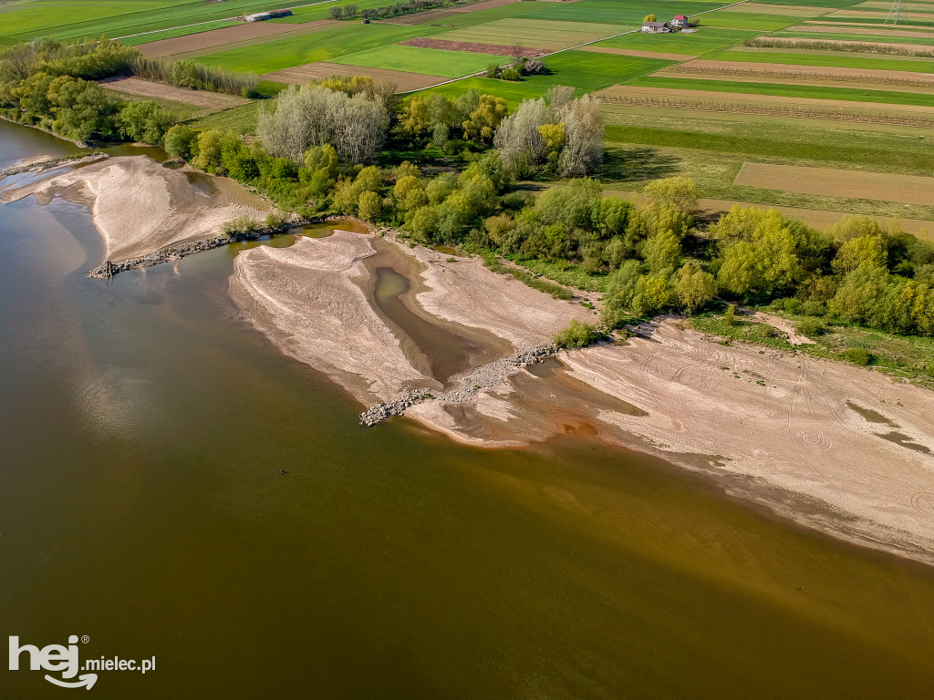 Niski poziom Wisły w powiecie mieleckim - kwiecień 2020