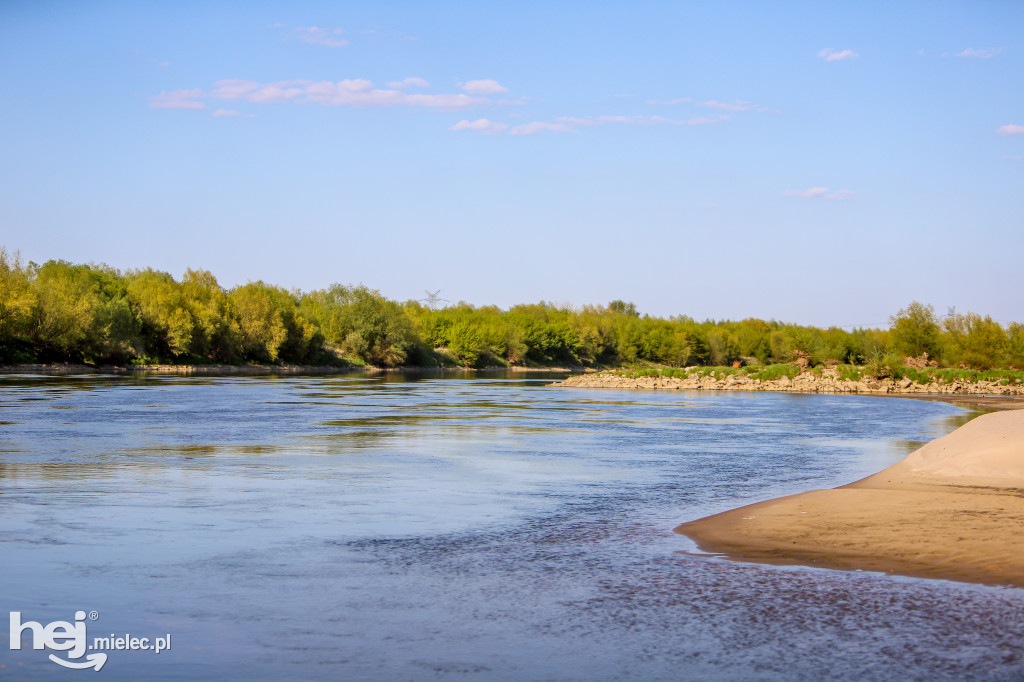 Niski poziom Wisły w powiecie mieleckim - kwiecień 2020