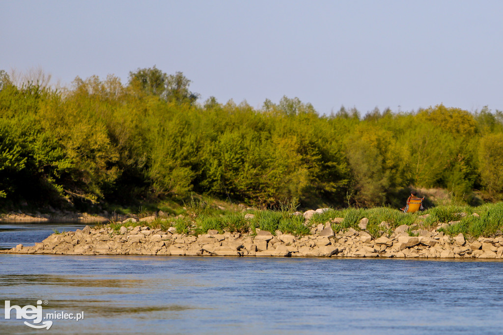 Niski poziom Wisły w powiecie mieleckim - kwiecień 2020