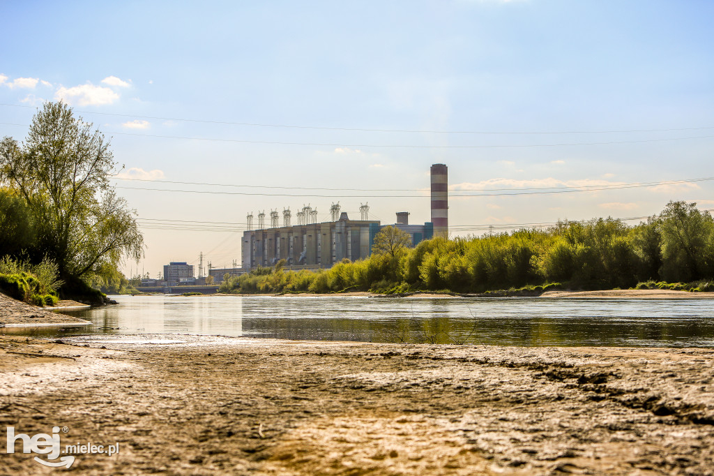 Niski poziom Wisły w powiecie mieleckim - kwiecień 2020