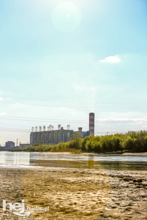 Niski poziom Wisły w powiecie mieleckim - kwiecień 2020