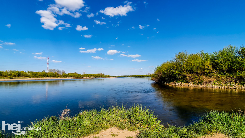Niski poziom Wisły w powiecie mieleckim - kwiecień 2020